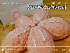 -奈雪的茶(石家庄万象城店)