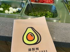 -油梨树AVOCADO TREE(望京店)