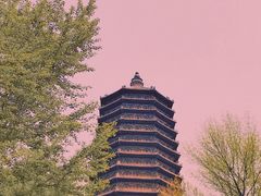 -玲珑塔公园