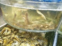 -叶存利海鲜大馅饺子(东戴河止锚湾店)