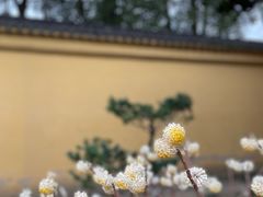 -重元寺