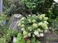 -凤来栖·净庭院·火锅(欧尚店)