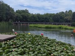 -西溪国家湿地公园