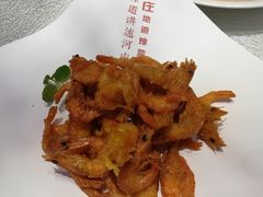 -阿庄新豫菜(航海东路店)