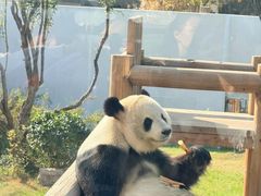 -无锡动物园·太湖欢乐园