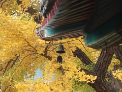 -红螺寺
