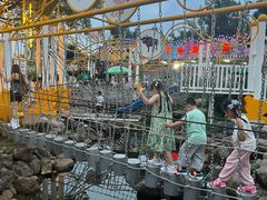 -南昌之星游乐场