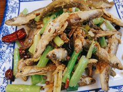 -老味道1992(武当山店)