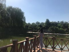 -河北省园博园