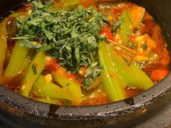 -陈麻婆豆腐总店