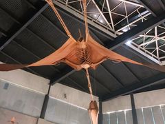 -湖南省地质博物馆