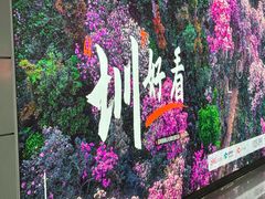 -宝安中心(地铁站)