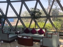 -悦隆庄温泉度假酒店