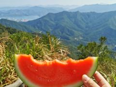 -梧桐山风景名胜区