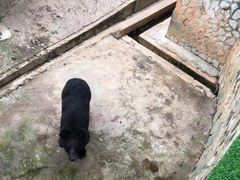 -昆明动物园