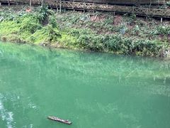 -广州市流溪河国家森林公园