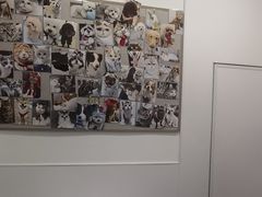 -宠物星动物医院·眼科·异宠·猫科(江南大道总院)