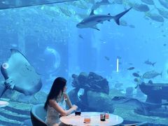 -亚特兰蒂斯•OSSIANO奥西亚诺海底餐厅