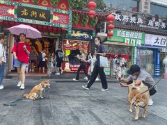 -庙街旅游·美食广场(五一广场店)