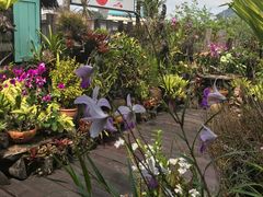 -自然餐厅(Phuket)