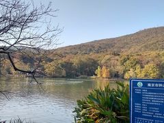 -紫霞湖公园