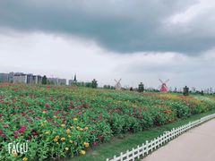 -南通鲜花小镇