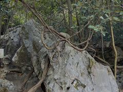 -杭州西湖风景名胜区-三生石
