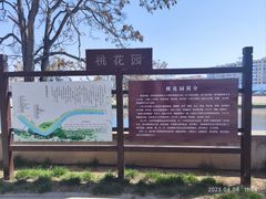 -桃花堤公园
