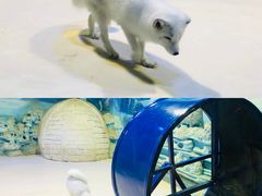 -华夏文旅西安度假区