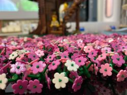 -乐高授权专卖店(华采天地店)