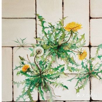 春天的气息全包含在这组绿色绘画中了