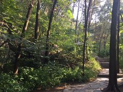 -云龙山