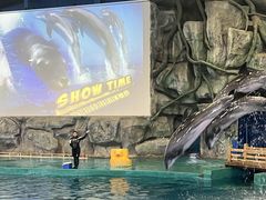 -威海华夏城景区