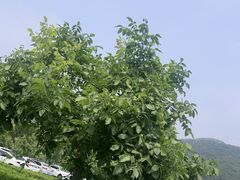 -天津盘山风景名胜区