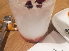 乳酸饮料-柴务处·柴犬主题狗咖