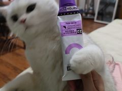 -联合动物医院(光谷诊疗中心)