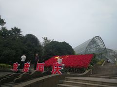 -南山植物园