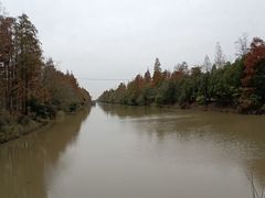 -上海海湾国家森林公园