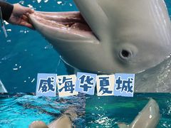 -威海华夏城景区