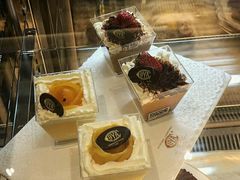 -COVA(上海K11艺术中心店)