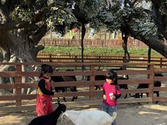 -盈香心动乐园