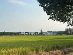 -阳澄湖半岛旅游度假区
