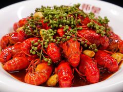 -虾皇(龙虾城旗舰店)