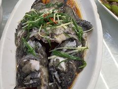 -众味海鲜大排档·活海鲜·潮汕味(南澳店)