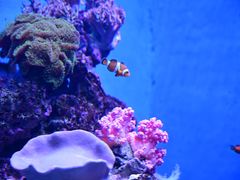 -石家庄极地海洋世界