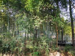 -宝岩生态观光园