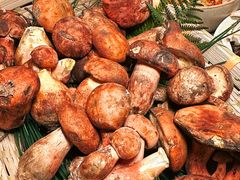 -滇野云南野生菌餐厅(陕西南路店)