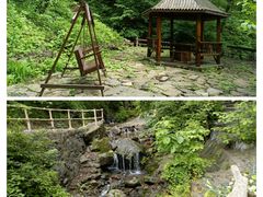-天女山森林公园