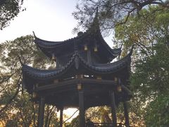 -金鸡山公园