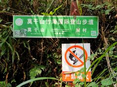 -莫干山风景区